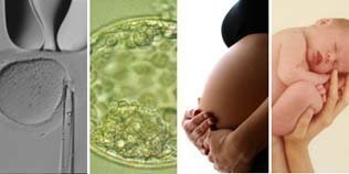 La unidad de reproducción asistida del Campo de Gibraltar logra 78 embarazos desde 2005