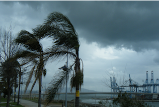 Alerta naranja en la provincia de Cádiz por fuertes vientos