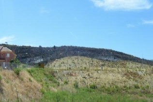 El fuego arrasa seis hectáreas de pasto y matorral en Sotorrebolo