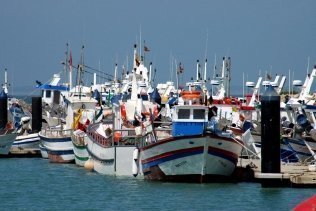 El Gobierno prevé ayudas destinadas a la flota de pesca de Gibraltar y la flota del voraz