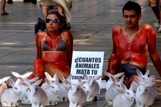 Acciones impactantes para pedir el fin de los experimentos con animales