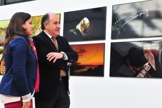 La exposición de Salvador Barea "Biodiversidad latente" abre sus puertas