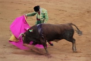 Paco Dorado se ofrece a dar cuatro corridas de toros y una novillada picada en Feria (INOCENTADA)