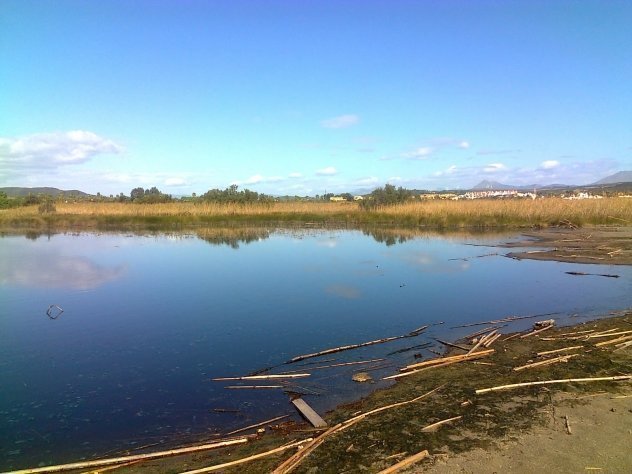 Junta amplía la superficie protegida de los parajes naturales del Estuario del Guadiaro y Marismas del Palmones