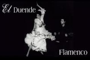 Arte y solidaridad se dan la mano a través de la asociación El duende del flamenco"