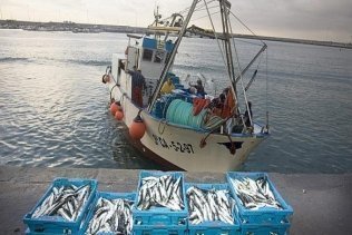 La Junta aprueba la creación del Consejo Asesor Pesquero de Andalucía
