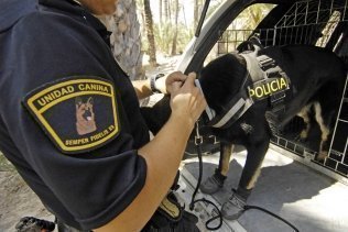 Un perro policía detecta un pasajero con medio kilo de hachís adherido en una faja