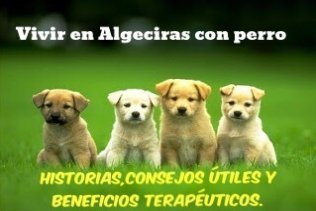 Vivir con perro en Algeciras: Historias, beneficios terapéuticos y consejos útiles.