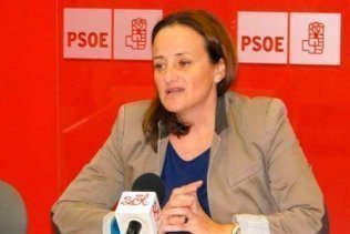Las energías renovables, el autoconsumo energético y la erradicación del impuesto al sol, objetivos del PSOE en el pleno de Diputación