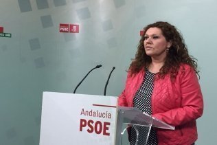 El PSOE acusa PP de inoperante" en la provincia de Cádiz