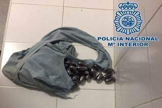 La Guardia Civil detiene a una persona con 30 kilos de hachís