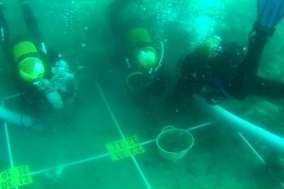 El material arqueológico encontrado en el yacimiento subacuático de La ballenera será depositado