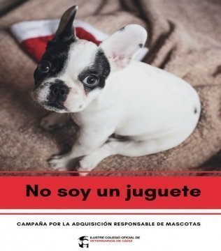 La campaña "No soy un juguete" ha sido lanzada por el Colegio de Veterinarios
