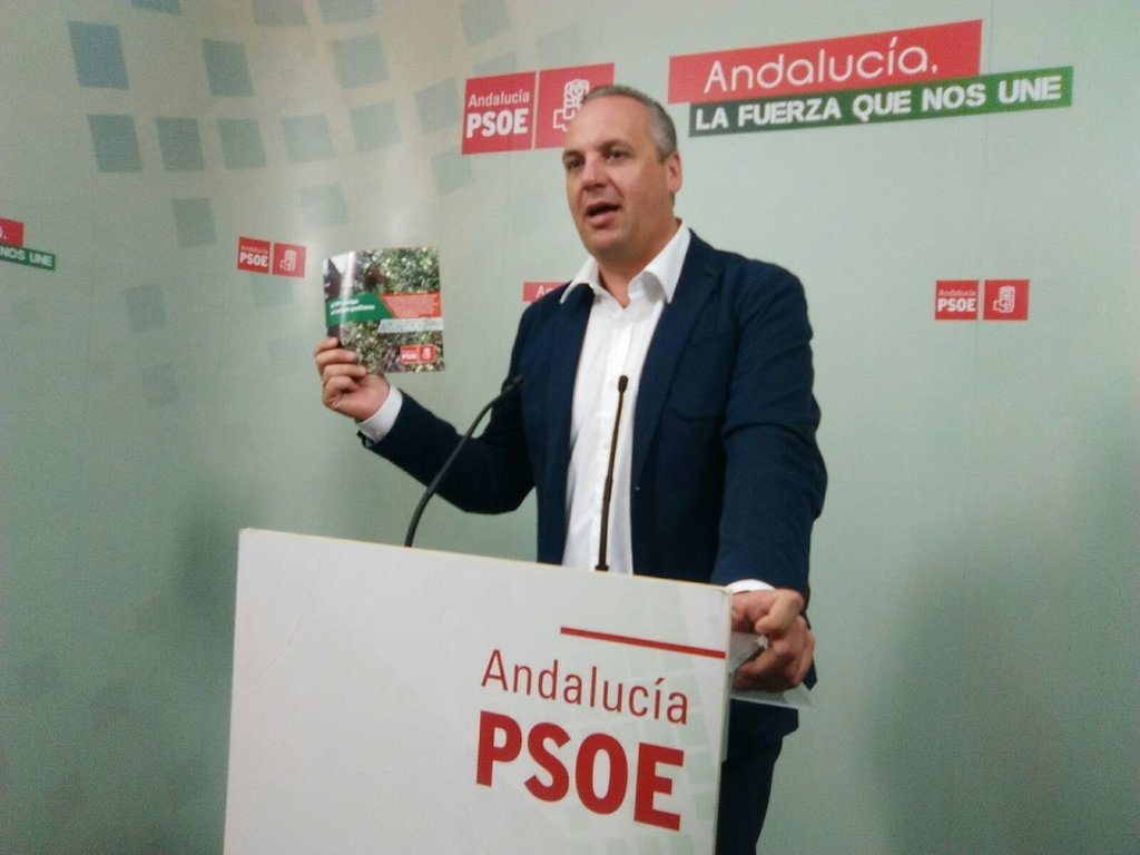 Ruiz Boix revalida la mayoría absoluta en San Roque y suma 490 votos más para el PSOE